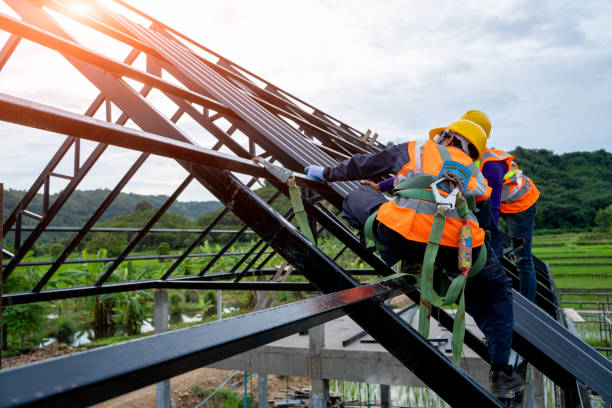 Best Storm Damage Roof Repair  in Williamsburg, KY