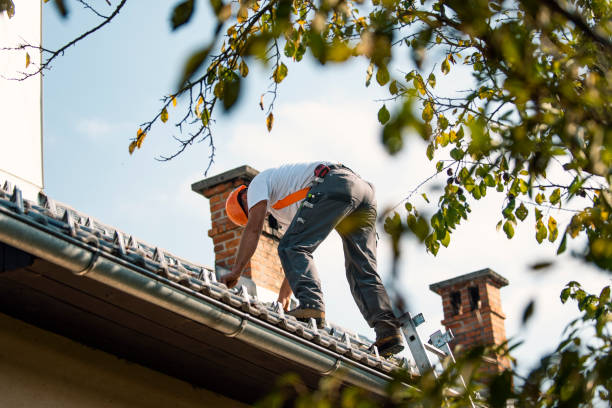 Roof Installation Near Me in Williamsburg, KY