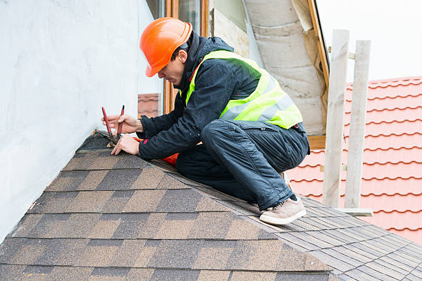 Best Flat Roof Repair Services  in Williamsburg, KY